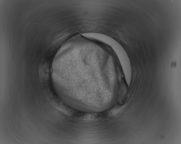 X0000089660080200707191658