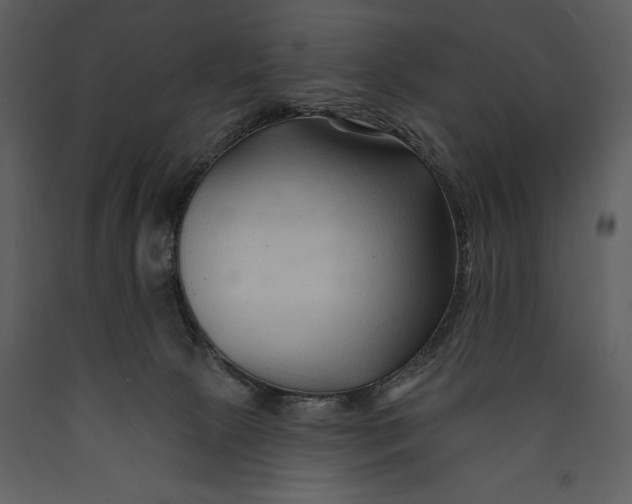 X0000089660081200707191658
