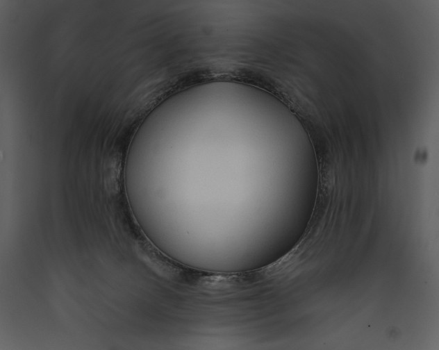 X0000089660082200707191658