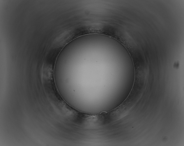 X0000089660083200707191658