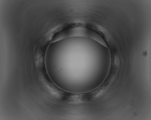 X0000089660084200707191658