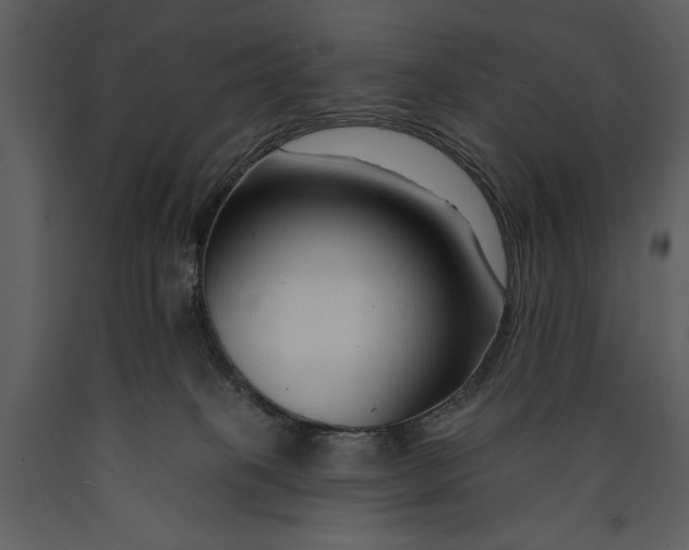 X0000089660085200707191658