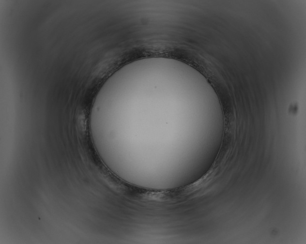 X0000089660086200707191658