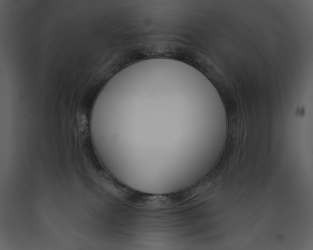 X0000089660087200707191658
