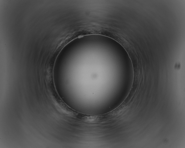 X0000089660088200707191658