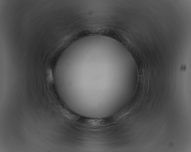 X0000089660089200707191658
