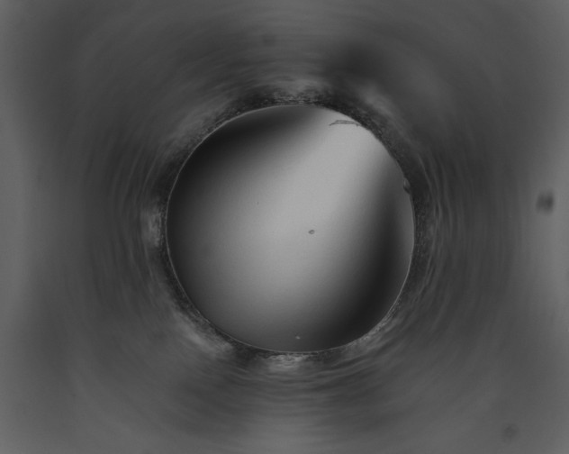 X0000089660090200707191658