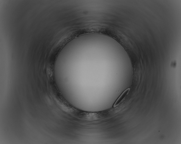 X0000089660091200707191658