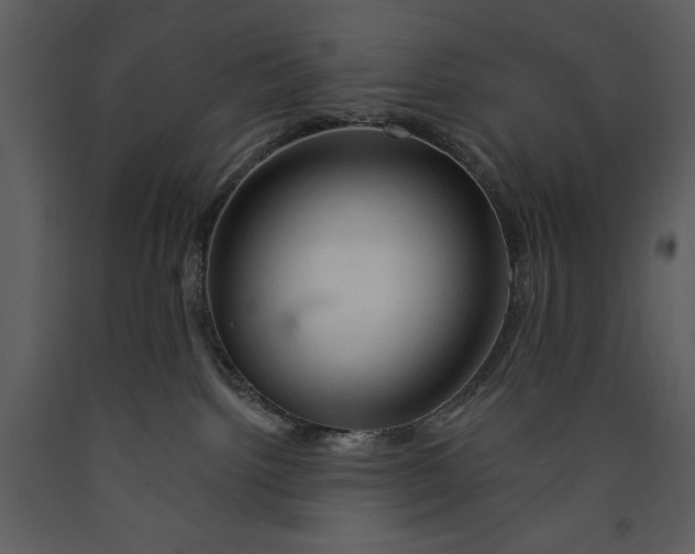 X0000089660092200707191658