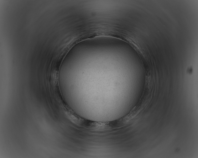 X0000089660093200707191658