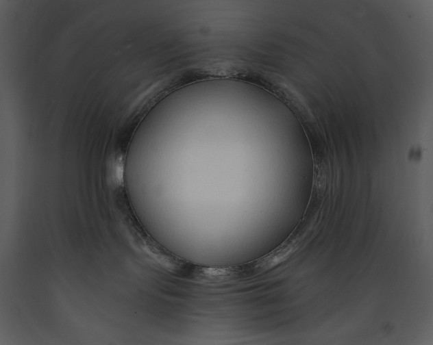 X0000089660095200707191658