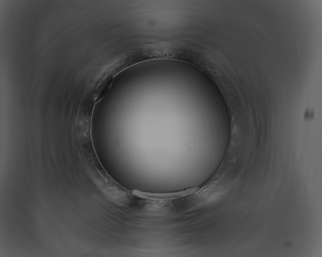 X0000089660096200707191658