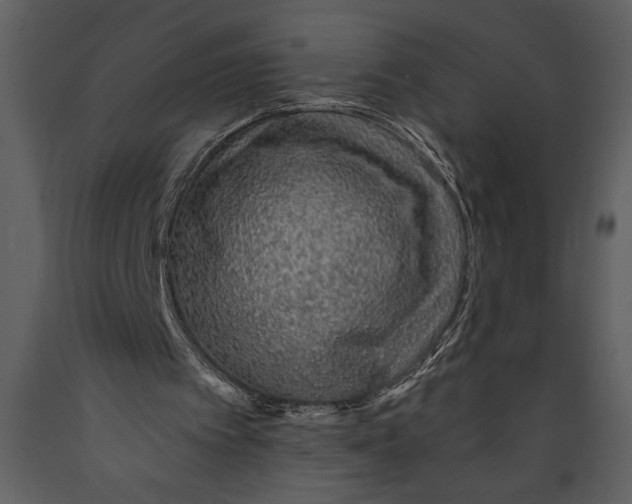 X0000089660097200707191658