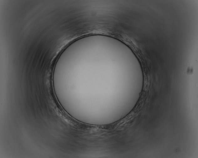 X0000089660098200707191658