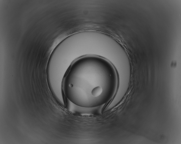 X0000089660099200707191658