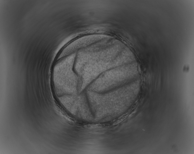 X0000089660100200707191657