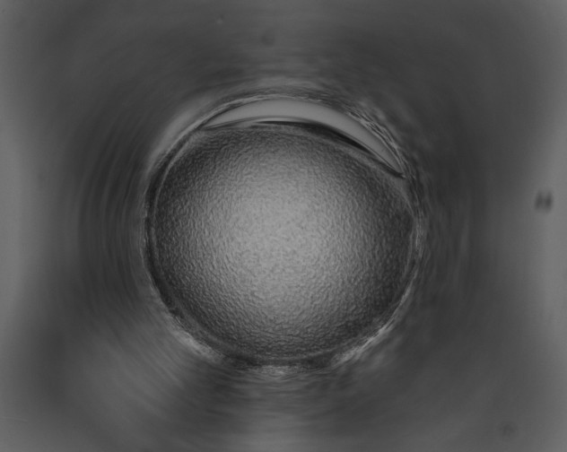 X0000089660101200707191657