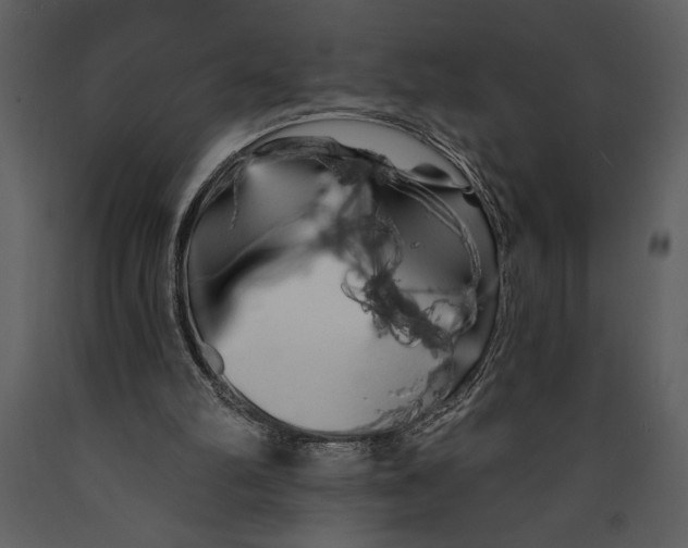 X0000089660102200707191657