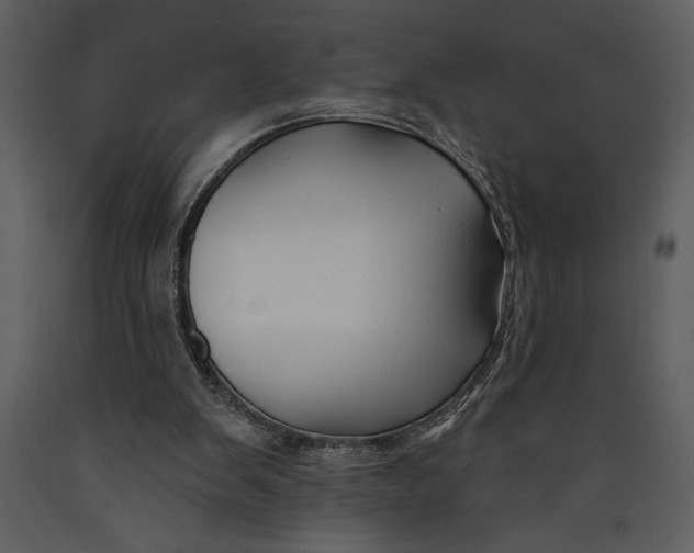 X0000089660103200707191657