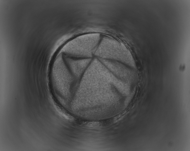 X0000089660104200707191657