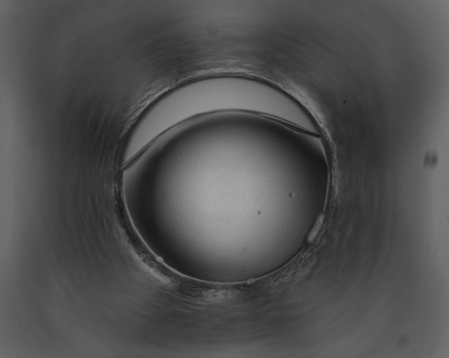 X0000089660105200707191657