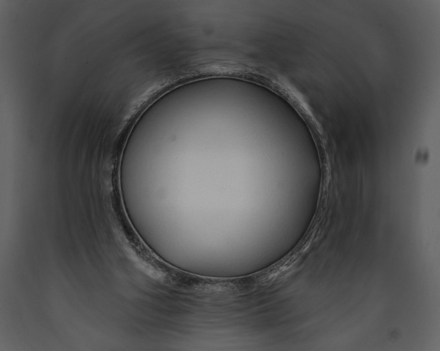 X0000089660106200707191657