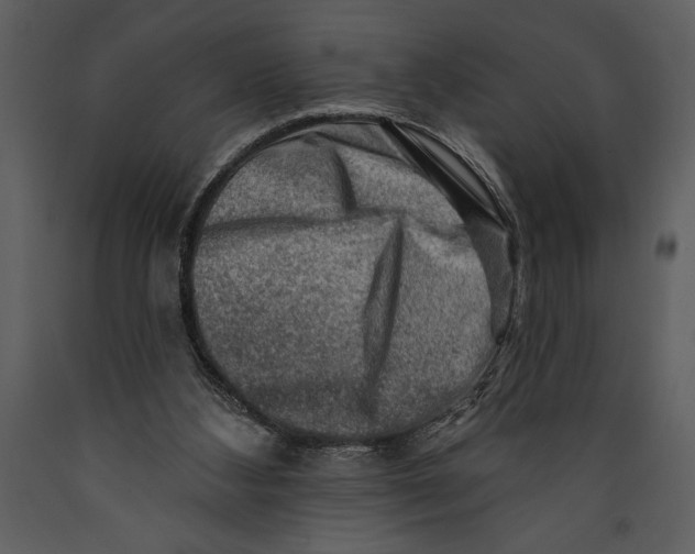 X0000089660108200707191657