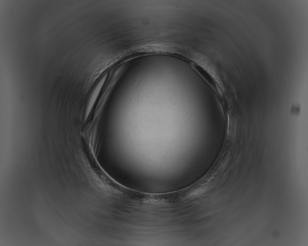 X0000089660109200707191657