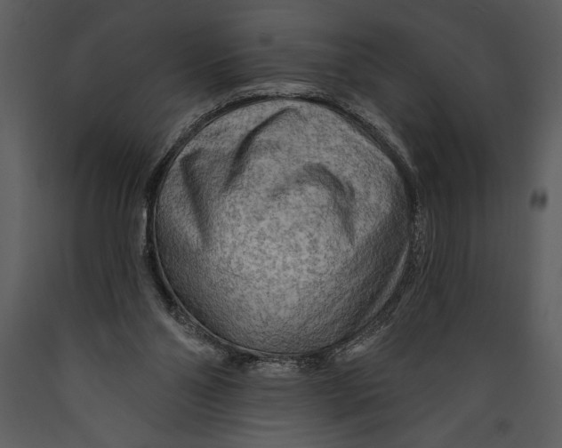 X0000089660110200707191657