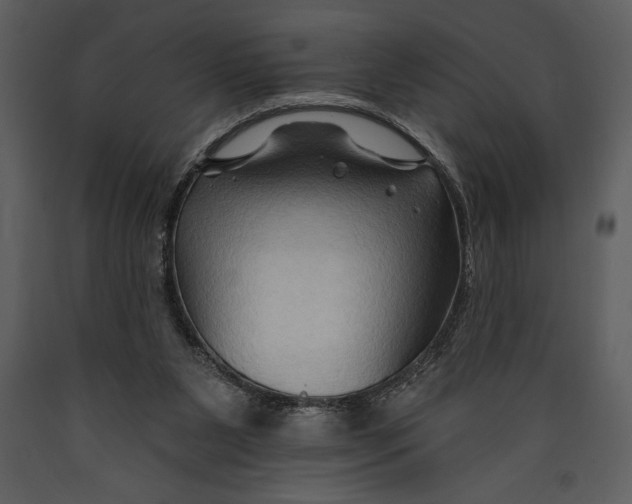 X0000089660111200707191657