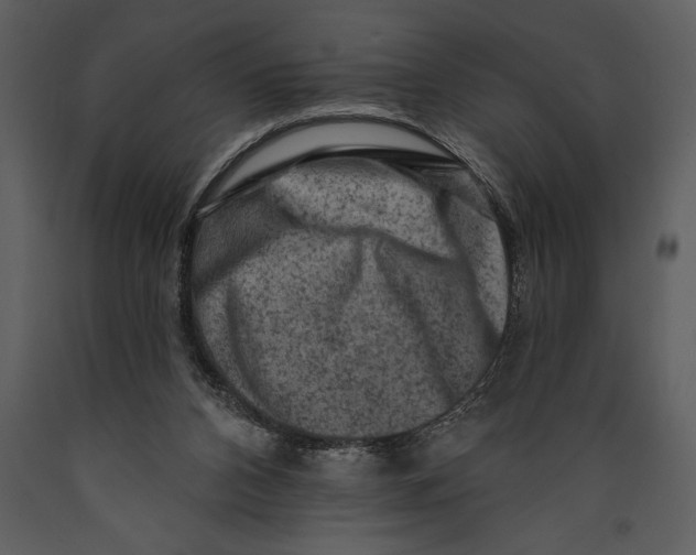 X0000089660112200707191657