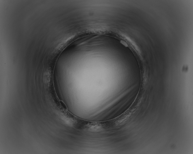 X0000089660113200707191657