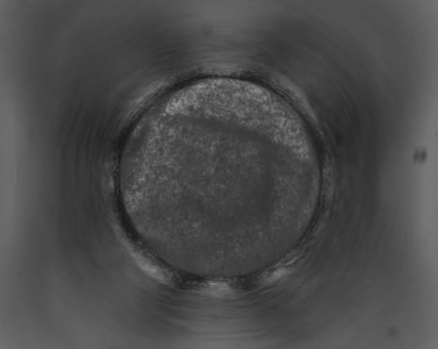 X0000089660114200707191657