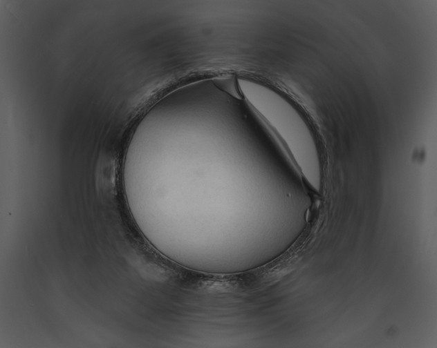 X0000089660115200707191657