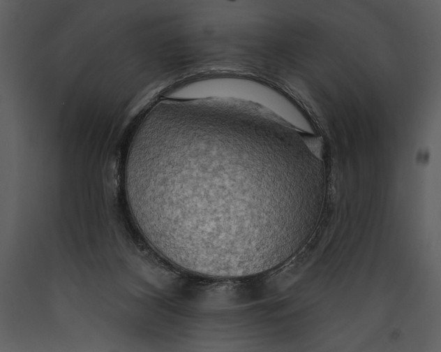 X0000089660116200707191657