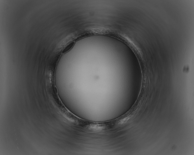 X0000089660117200707191657