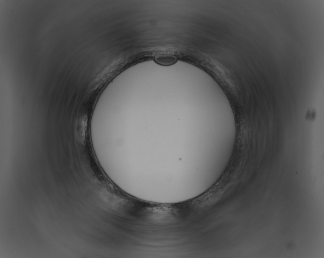 X0000089660118200707191657