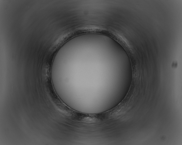 X0000089660119200707191657