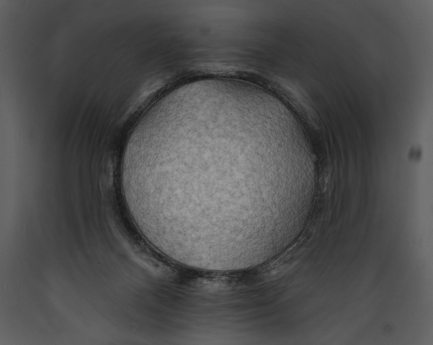 X0000089660120200707191657