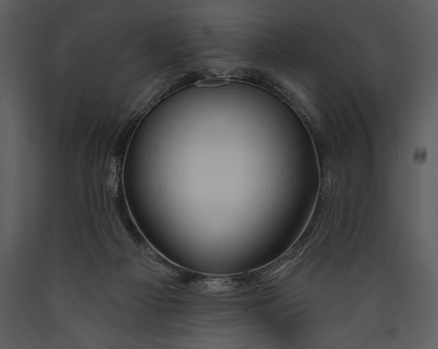 X0000089660121200707191657