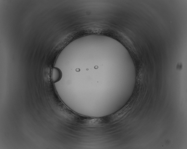 X0000089660122200707191657