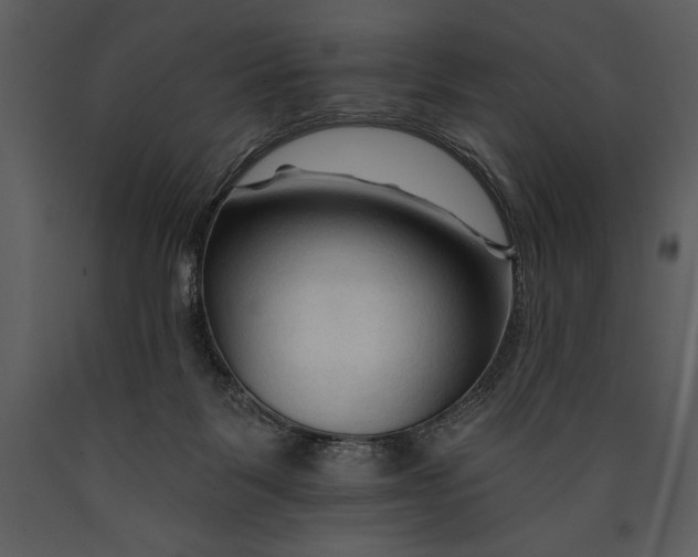 X0000089660123200707191657