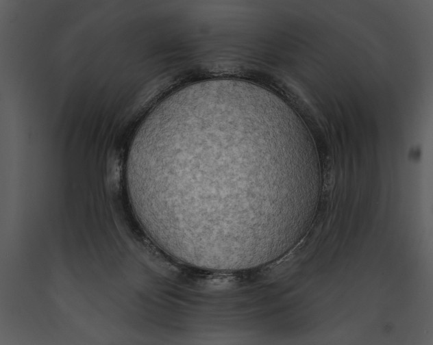 X0000089660124200707191657