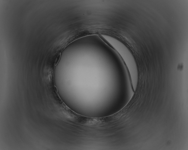 X0000089660125200707191657
