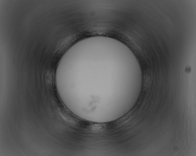 X0000089660126200707191657