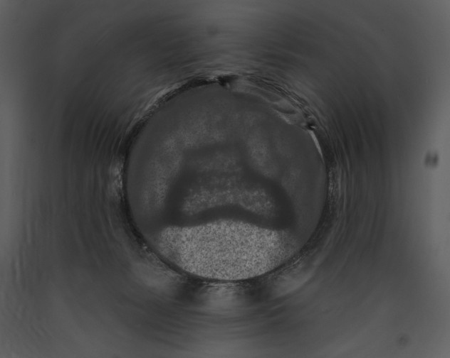 X0000089660127200707191657