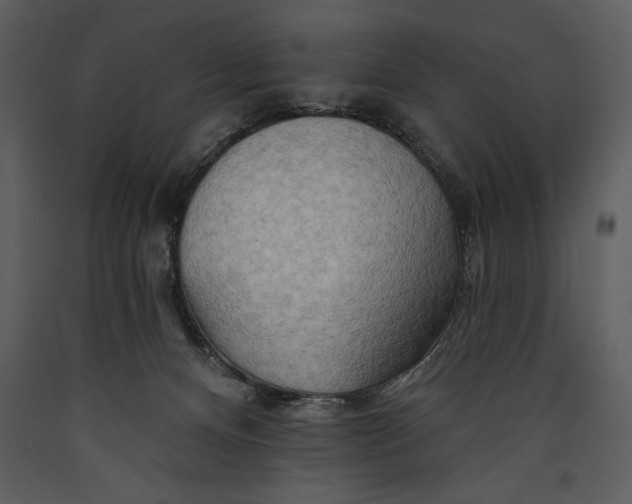 X0000089660128200707191657