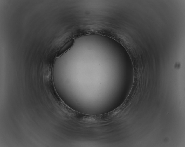 X0000089660129200707191657