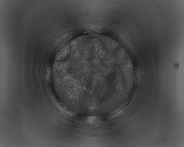 X0000089660130200707191657