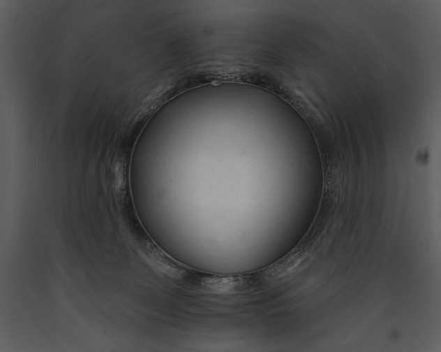 X0000089660131200707191657